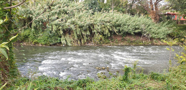 Il 4 e il 5 ottobre torna “Urban Nature”,festival <a href="/WWF/">WWF</a> della #Natura in città,per diffondere il valore e cura della natura per il benessere,salute e sicurezza delle persone.➡️link tutte le iniziative <a href="/Roma/">Roma</a> Capitale,per prenotarsi scrivere a:info@wwfroma.it wwfroma.it/aggiornamenti-…