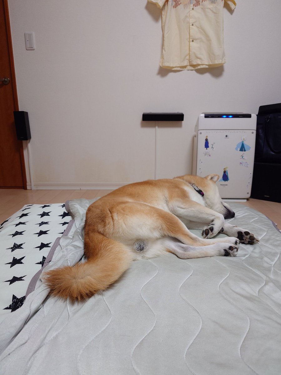 そこにいると足の置き場がないのよね。