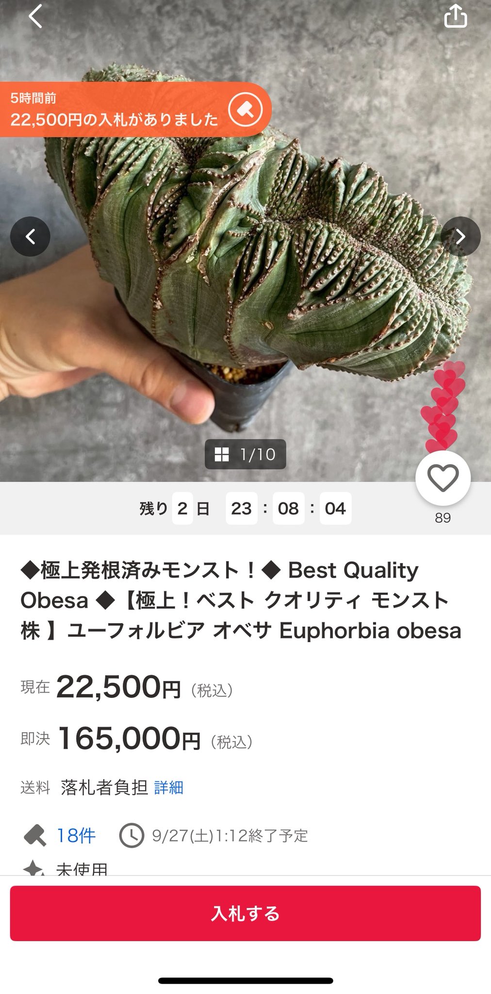 世田谷プランツマーケット on X: 