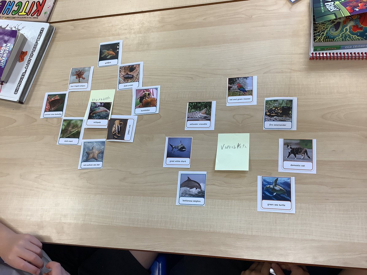 Year 4 Ordsall Primary School tweet media