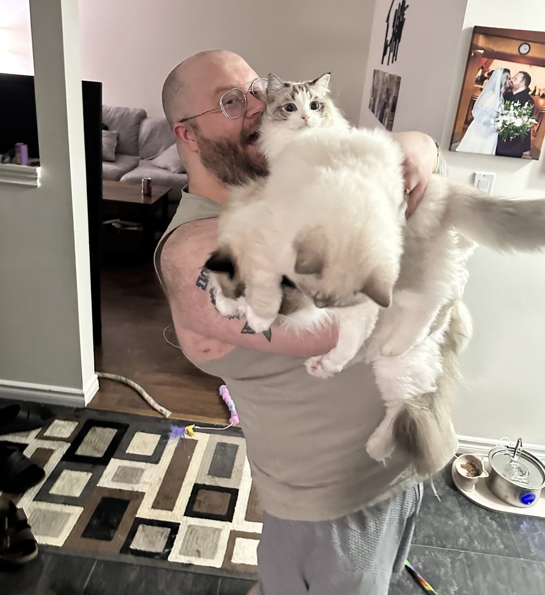 I managed to hold all 3 🐈

Daily cat piles 🫡