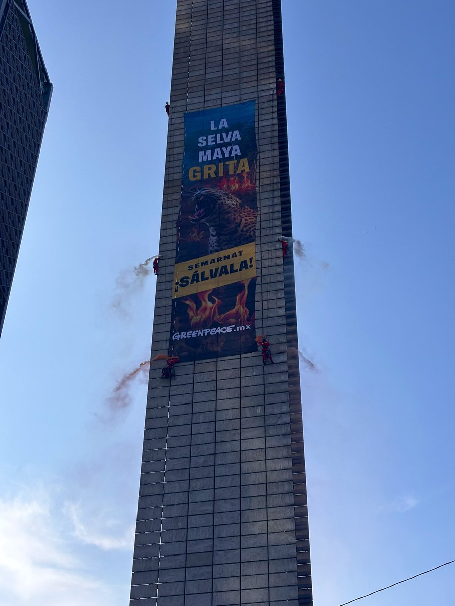 ehiramhurtado's tweet photo. Nueve activistas de @greenpeacemx escalaron la Estela de Luz, en la CDMX. Desplegaron a 70 metros de altura una manta para pedir un alto a la deforestación de la selva maya. https://t.co/zD8EVRec45