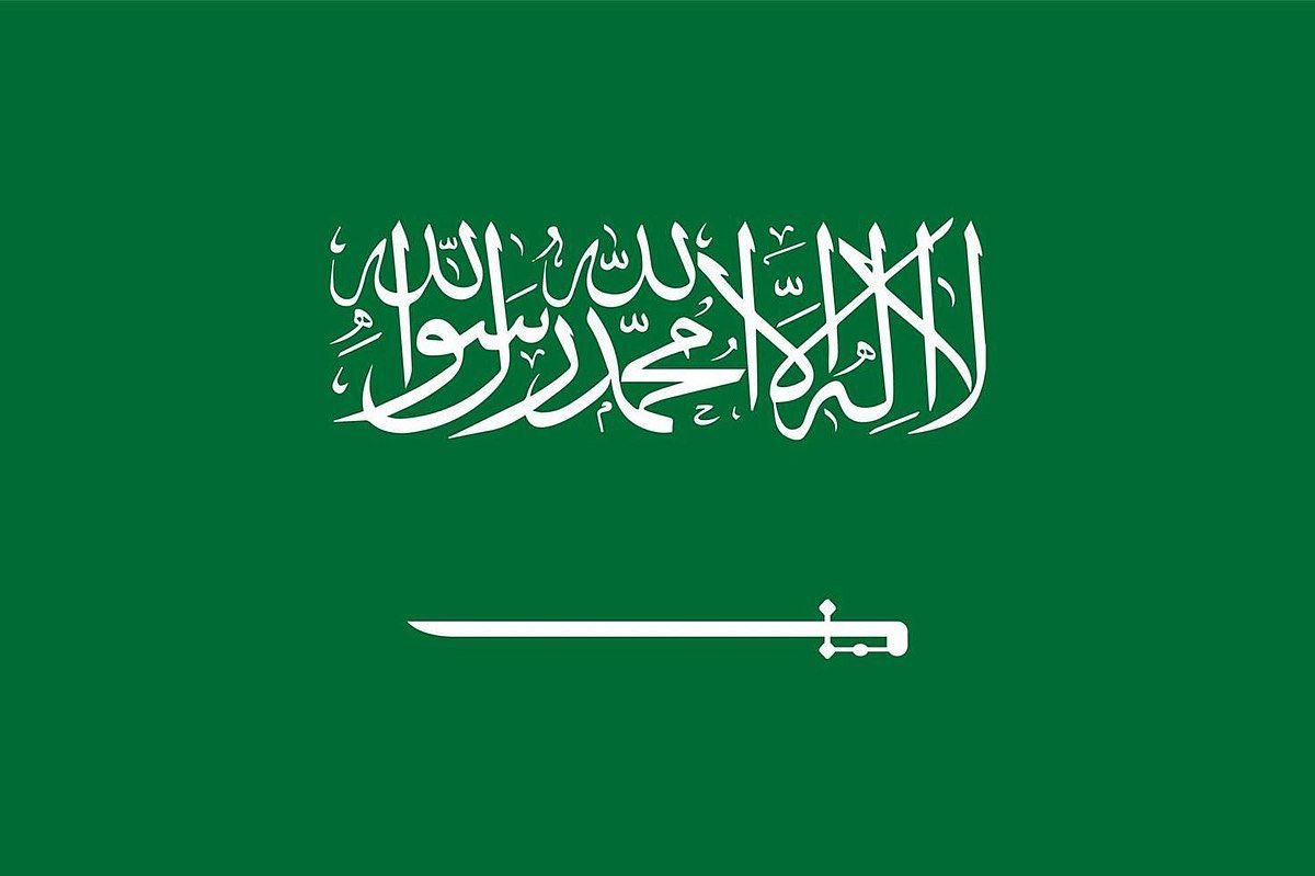 كل عام والوطن بخير 💚 #اليوم_الوطني_السعودي_95