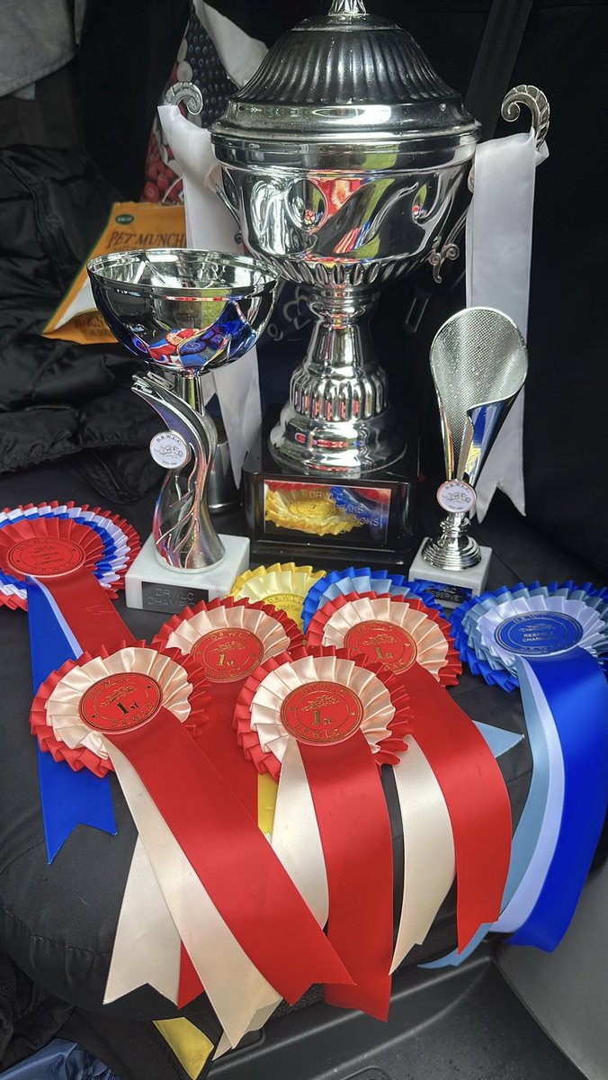LokiBladeMoo's tweet photo. Ghost has taken his 4th consecutive Champion of Champions &amp; back to back wins at his last outing. People need to see what rescue dogs can accomplish. @DogsTrust @DT_MANCHESTER https://t.co/OnvXe0Lpmo