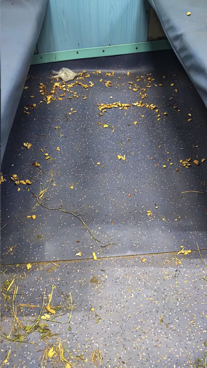 Train No. 73425, Jamalpur Kiul Demu is ready to depart but the current cleanning position is self explametory. 
It adverses the govt remarks स्वच्छ भारत स्वस्थ भारत. 
<a href="/RailwaySeva/">RailwaySeva</a> <a href="/RailMinIndia/">Ministry of Railways</a> <a href="/AshwiniVaishnaw/">Ashwini Vaishnaw</a> <a href="/narendramodi/">Narendra Modi</a>