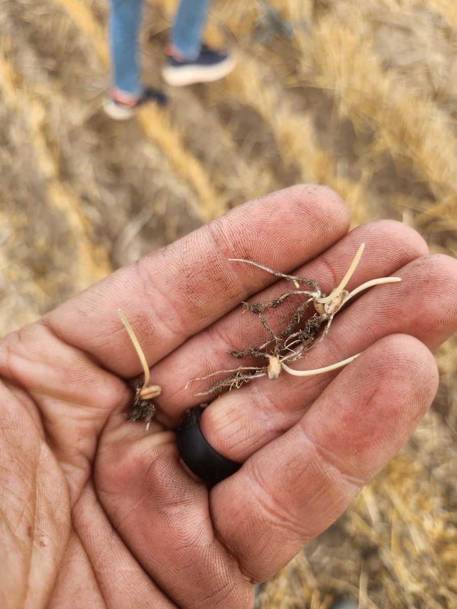 Michel Benoit tweet media