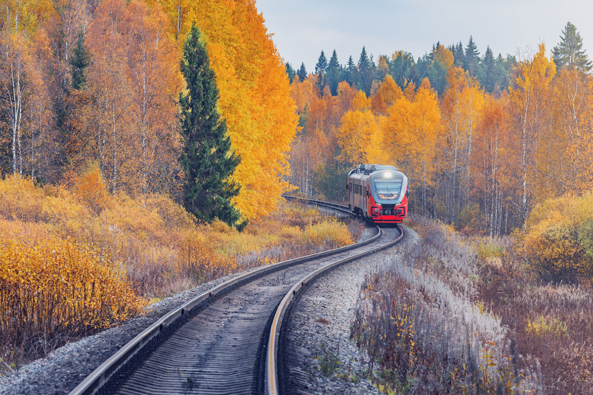 ManningMktg's tweet image. 🍂 Fall is here—which means pumpkin spice and a kaleidoscope of warm reds, oranges, and golds 🍁 If leaf-peeping is on your bucket list, skip the driving and hop on one of NJ’s scenic train rides instead.🚂✨

#LeafPeeping #NJFall #ScenicTrainRides

dlvr.it/TNFJGq