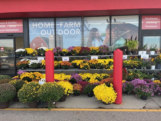 It's looking a lot like Fall at Runnings!🍂🍁