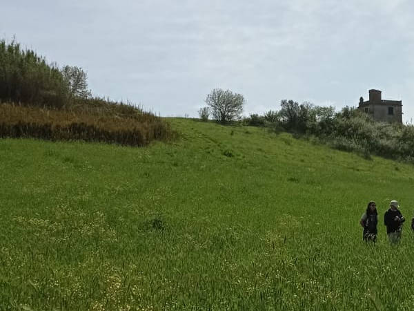 In occasione di #Urban Nature,festival della #natura in città giunto alla sua nona edizione,<a href="/WWF/">WWF</a> lancia oggi un report:"ADATTAMENTO ALLA CRISI CLIMATICA IN AMBITO URBANO:RIPENSARE LE CITTÀ COME SISTEMI VIVENTI DI NATURA E PERSONE" <a href="/WWFitalia/">wwfitalia</a> #ClimateCrisis wwfroma.it/aggiornamenti-…