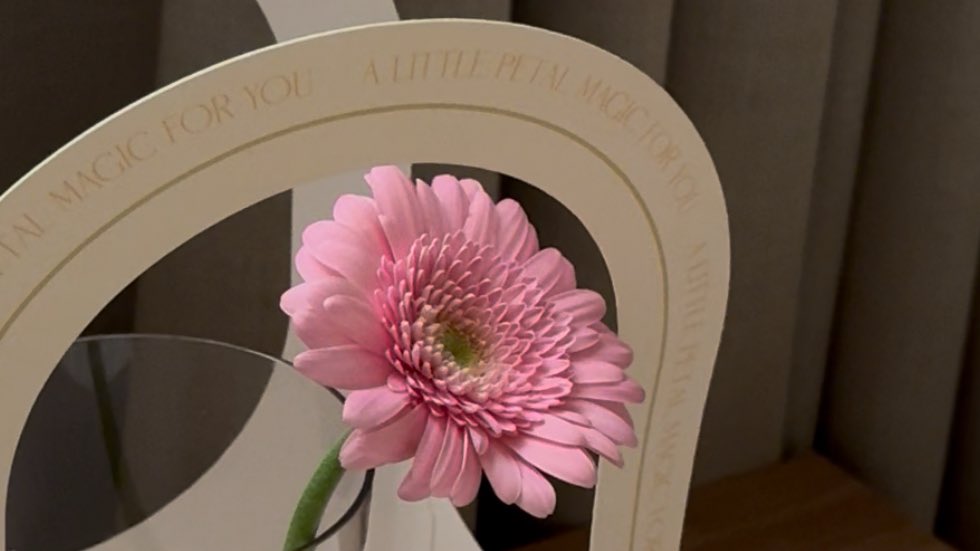 Mariam (@mariam0ba) on Twitter photo 