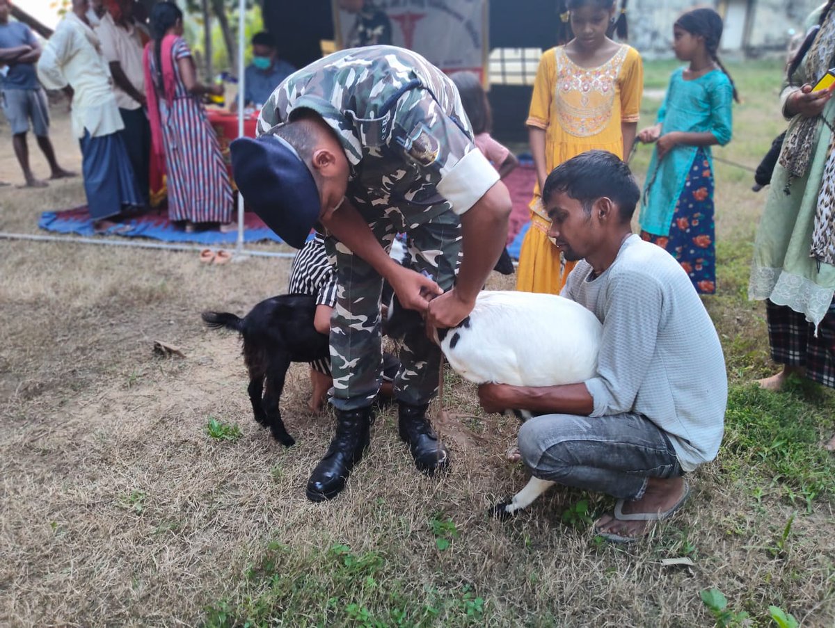 22bnssb's tweet image. दिनांक 23/09/2025 को श्री चन्दन तालुकदार (CVOSG)की उपस्थिति में 22वीं वाहिनी महराजगंज के कार्यक्षेत्र समवाय बर्गदवा @officialssb में नि:शुल्क पशु चिकित्सा शिविर आयोजित किया गया इसमें 163 मवेशियों का उपचार एवं दवा वितरण किया गया।
#SSB #AnimalHealth #CommunityService #SeemaBharat