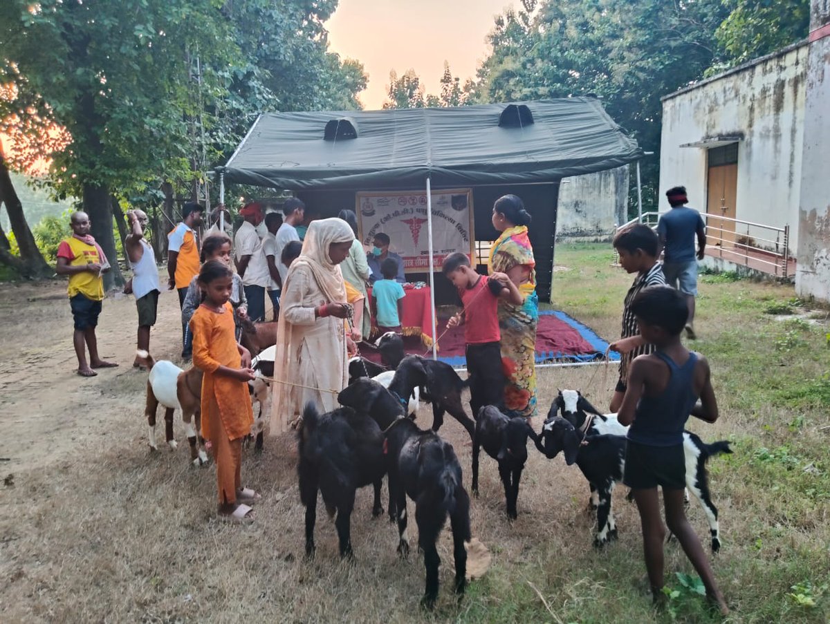 22bnssb's tweet image. दिनांक 23/09/2025 को श्री चन्दन तालुकदार (CVOSG)की उपस्थिति में 22वीं वाहिनी महराजगंज के कार्यक्षेत्र समवाय बर्गदवा @officialssb में नि:शुल्क पशु चिकित्सा शिविर आयोजित किया गया इसमें 163 मवेशियों का उपचार एवं दवा वितरण किया गया।
#SSB #AnimalHealth #CommunityService #SeemaBharat