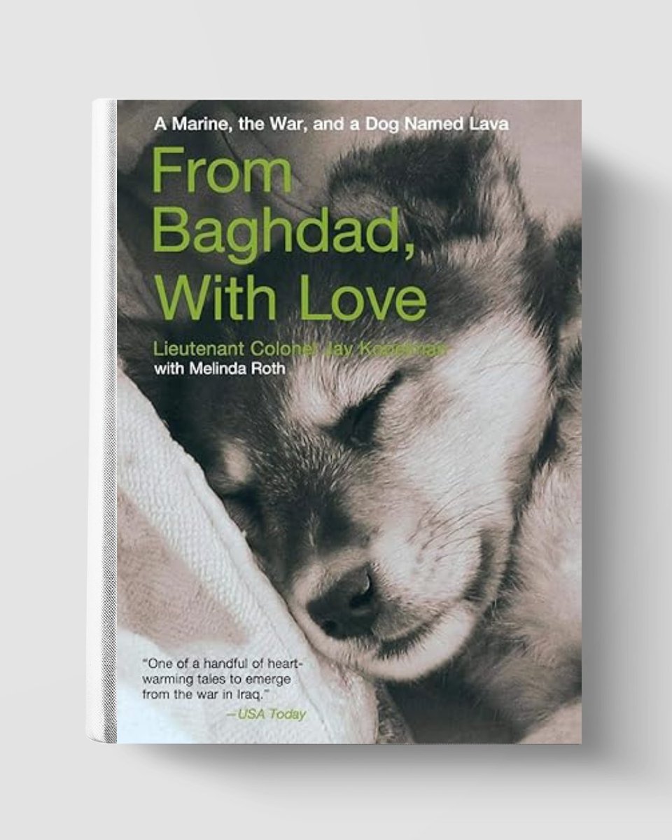 NormalizePtsd's tweet image. If you connected with Jay&apos;s words in Episode 74, check out his books:

📘 From Baghdad, With Love: A Marine, the War, and a Dog Named Lava: a.co/d/7xaRWgB
📗 From Baghdad to America: Life After War for a Marine and His Rescued Dog: a.co/d/gL8jQOi