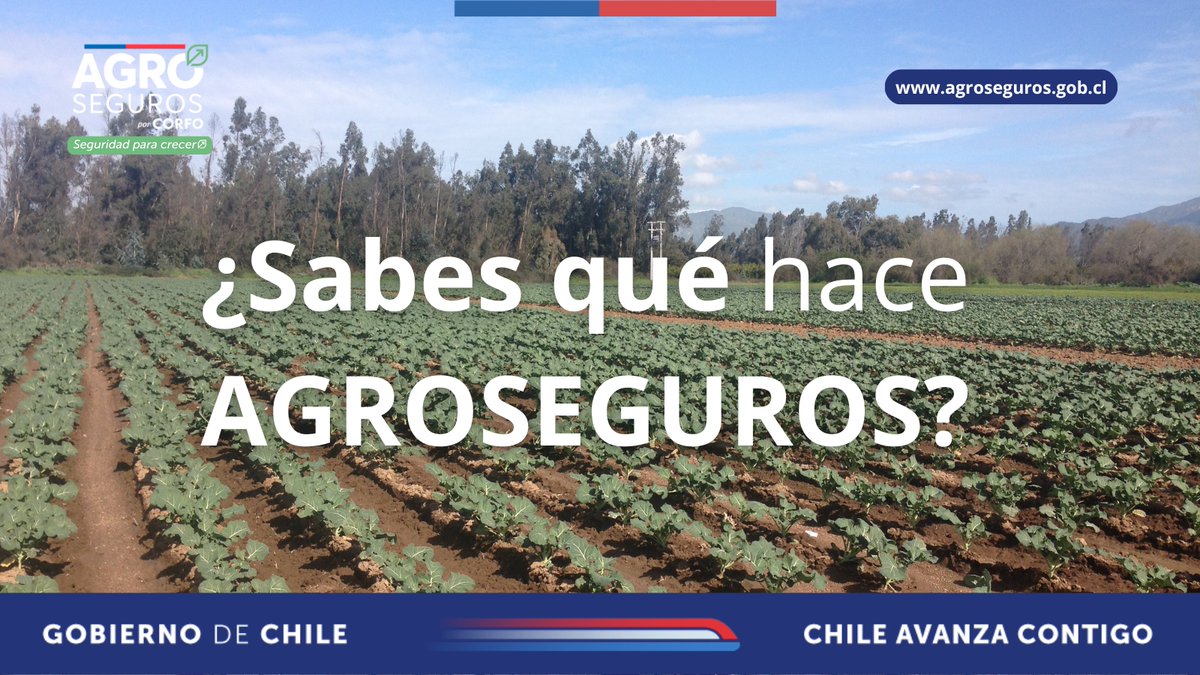 🔴AGROSEGUROS es una entidad estatal ligada a la <a href="/Corfo/">Corfo</a>  y al <a href="/MinagriCL/">Ministerio de Agricultura de Chile 🇨🇱</a> , líder en la entrega de subsidios a la contratación de los seguros para el Agro, ya sean individuales (Agrícola 🍅 , Pecuario 🐄 y Forestal 🌲) o colectivos.

 Más info ➡️agroseguros.gob.cl