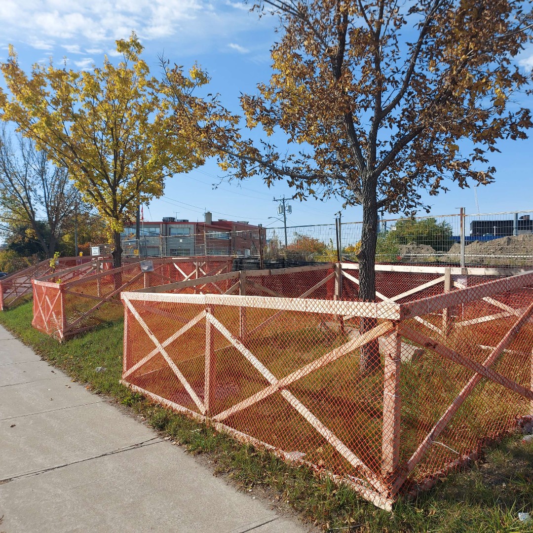 Live Green Toronto tweet media