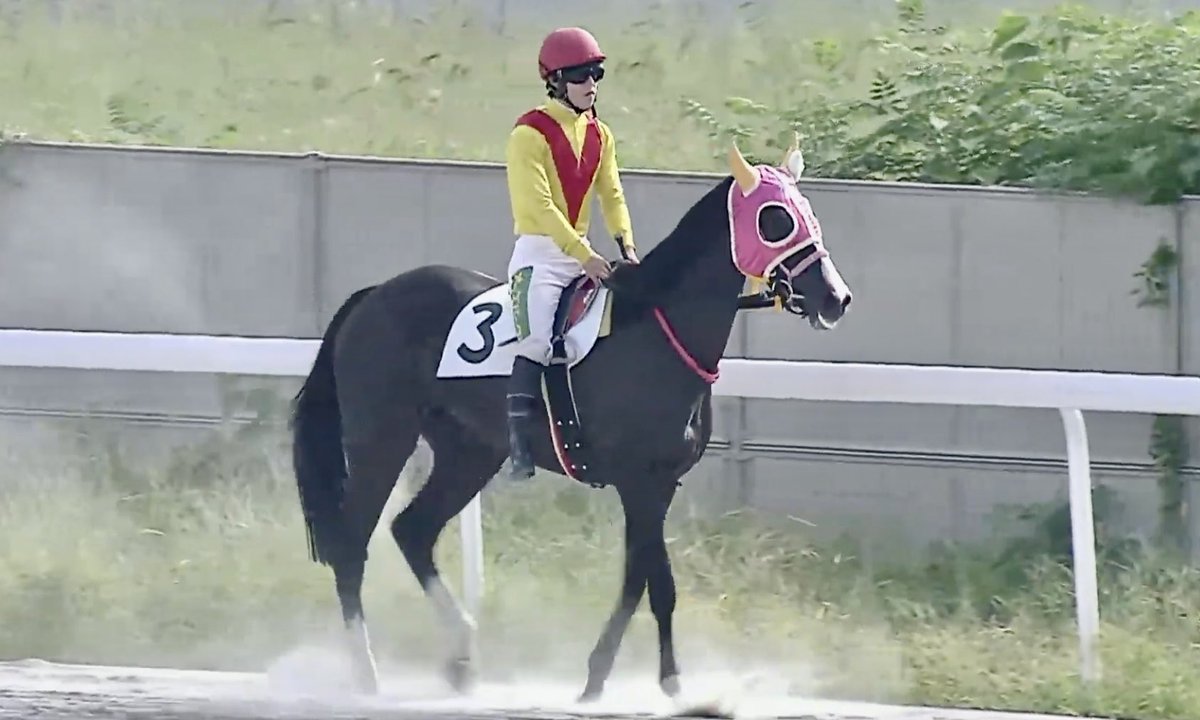 2025/09/23 #笠松競馬場 #オータムカップシリーズ🏆 #藤田正治厩舎 #ハナモモファミリー 出走

6R #ハイエストランク💙レッドデコメンコ❤️ホワイトハートドット🤍白耳Ver.
8R #アシレ💚ハッピーちゃん愛用ピンクデコメンコ🩷黄耳Ver.
どちらもカワイイ🥰&amp;頑張りました😊

応援ありがとうございました🙇🏻