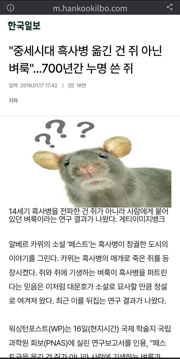 🕯핑크버드🕯 (@ava_1118) on Twitter photo 