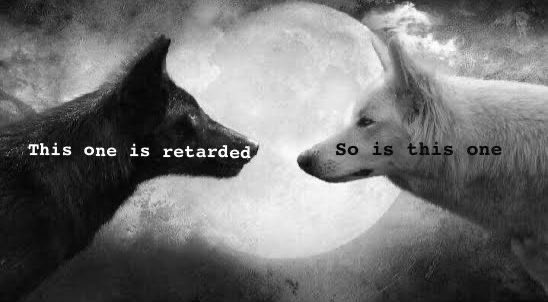 the two wolves inside me are finally meeting