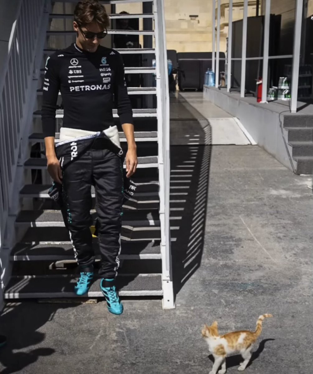 they're both bewitched by eachothers aura