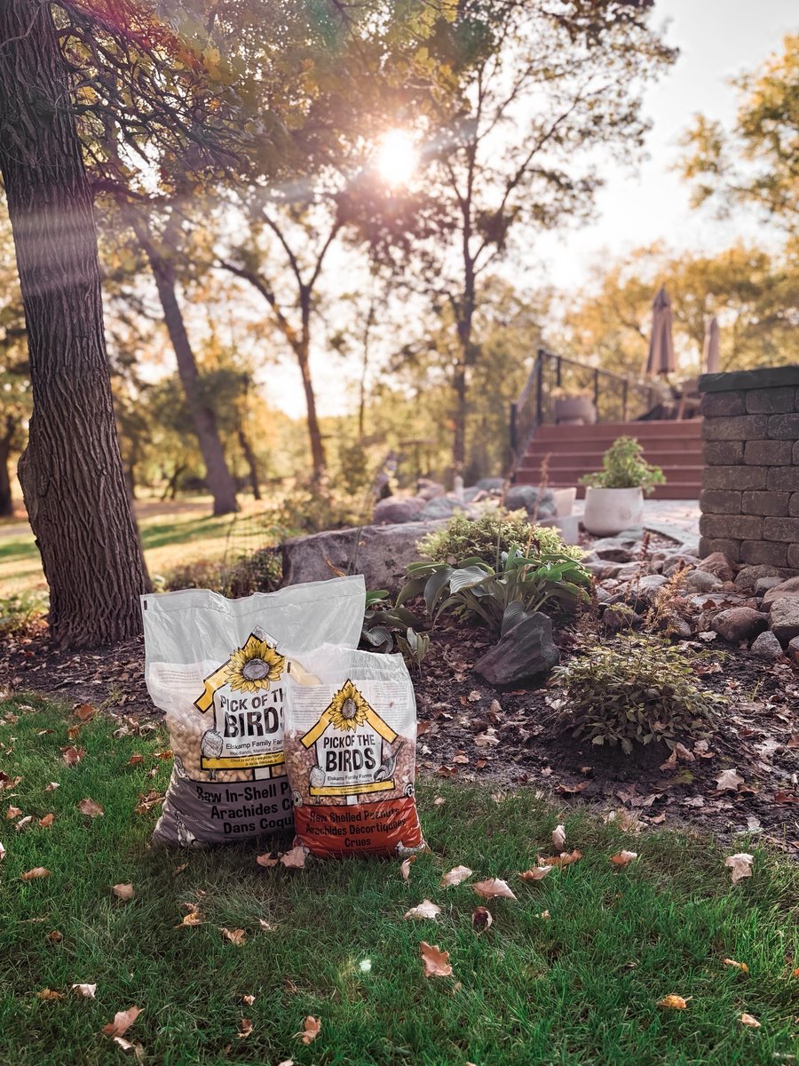 Peanuts are the VIP snack bar of any backyard feeder.