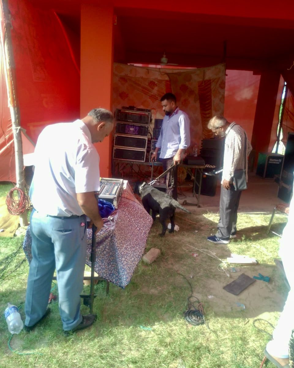 PP_Hoshiarpur's tweet image. To ensure security in view of Dussehra 2025 celebrations, Hoshiarpur Police teams of Anti-Sabotage and Dog Squad are conducting intensive/thorough checks at Dussehra ground, Hoshiarpur.

#Dussehra2025 #SecurityMeasures #FestivalSafety