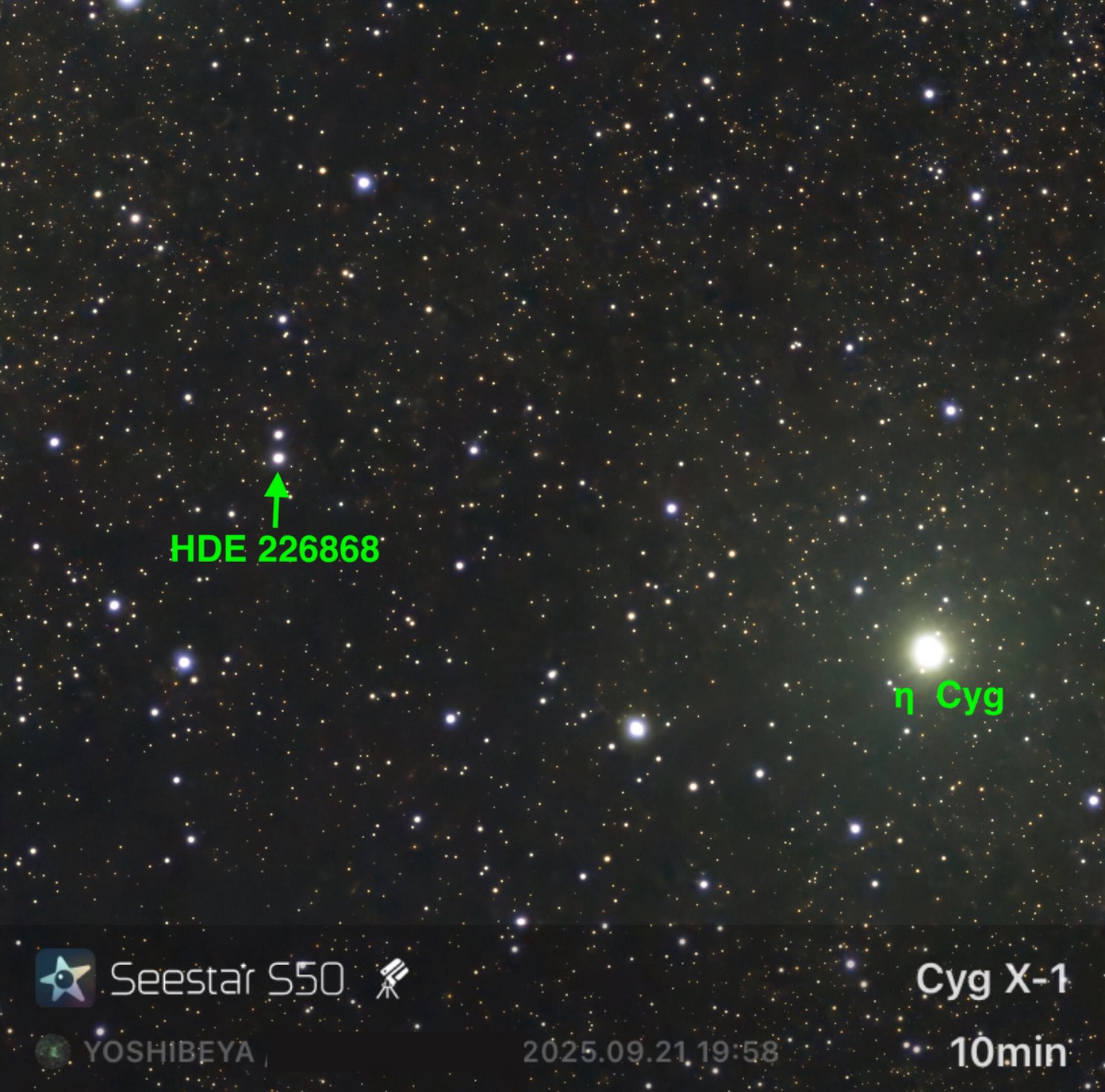 よしべや自然博物館 on X: 