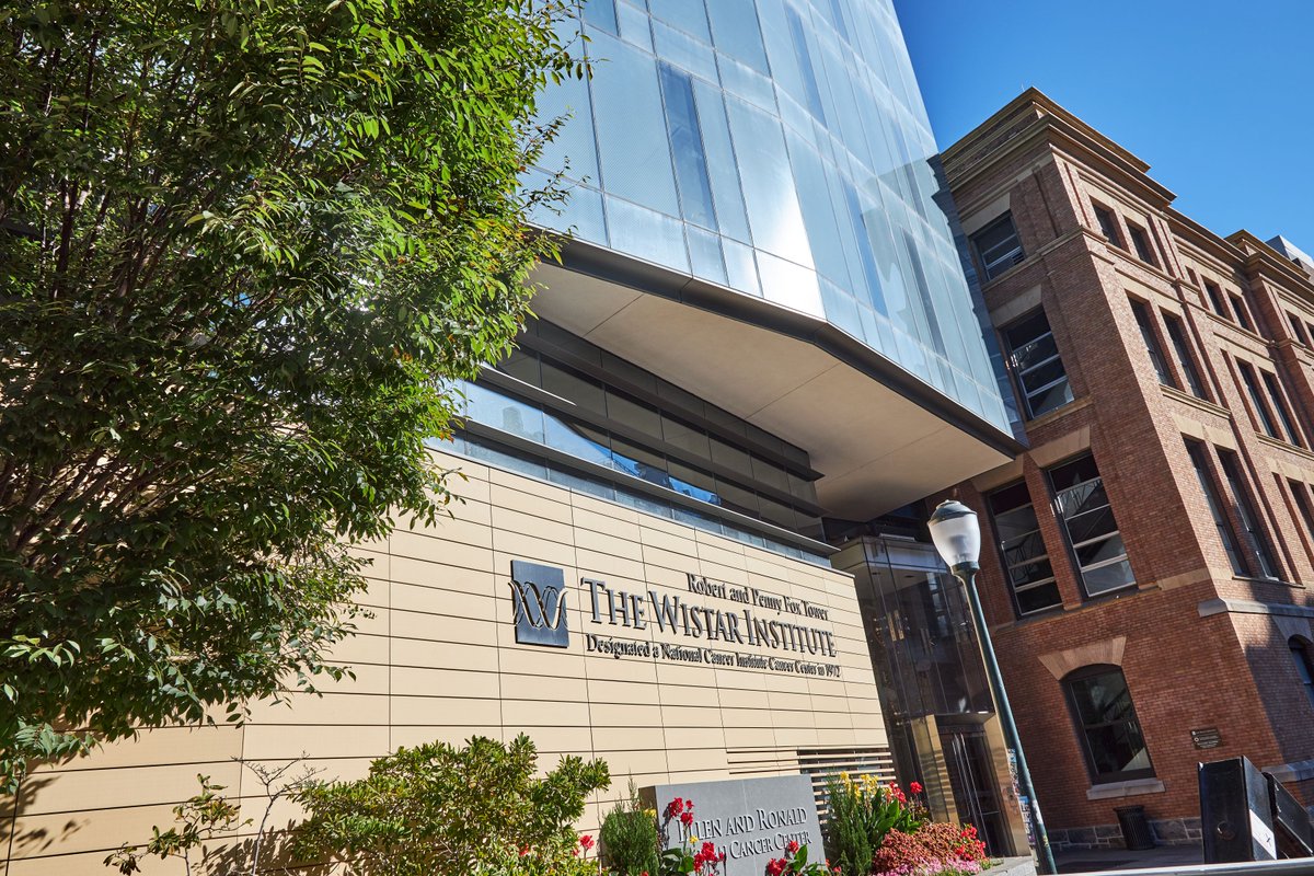 We are delighted that Wistar has been rated “Exceptional” at the renewal of its National Cancer Institute-designated Cancer Center for the third time in a row. We stand for research, collaboration and training the next generation of scientists. Science is the answer.