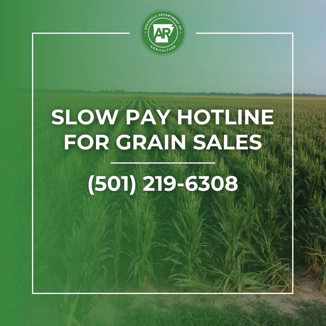 Grain producers experiencing payment delays of more than 30 days for grain sales can contact the Department’s Slow Pay Hotline for assistance.