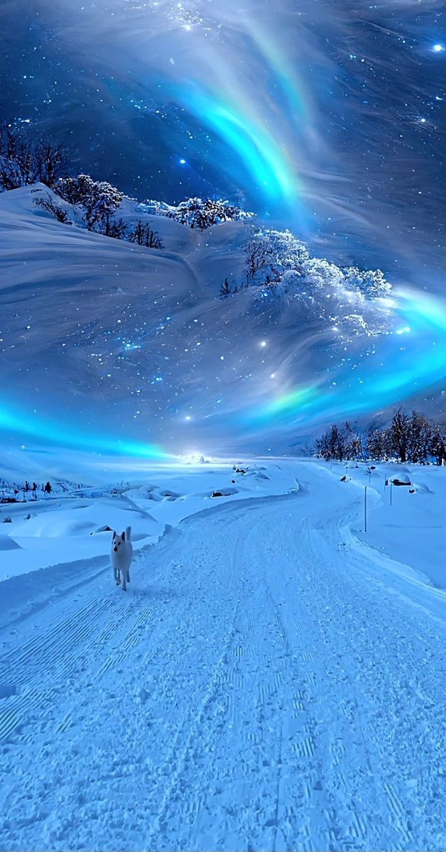 Aesthetics (@aestheticspost_) on Twitter photo 