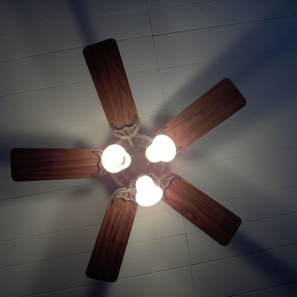 PalmCoastPCSvcs's tweet image. Stay comfortable and stylish with our ceiling fan installation services. They are quick, efficient, and tailored to your needs! Call us today to upgrade your space!
#CeilingFanInstallation
pcservicespalmcoast.com