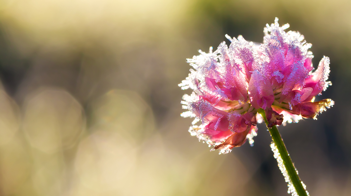 🍂 From Fall to Frost ❄️Get your garden winter-ready at a FREE workshop with <a href="/TRCA_HQ/">Toronto and Region Conservation Authority</a>!
 📅Sun, Oct 5 | 🕙 10 a.m.-12p.m.
 📍Bayview Hill CC
Learn to protect your plants, support pollinators, compost like a pro &amp; extend your growing season. Register: RichmondHill.ca/HealthyYards