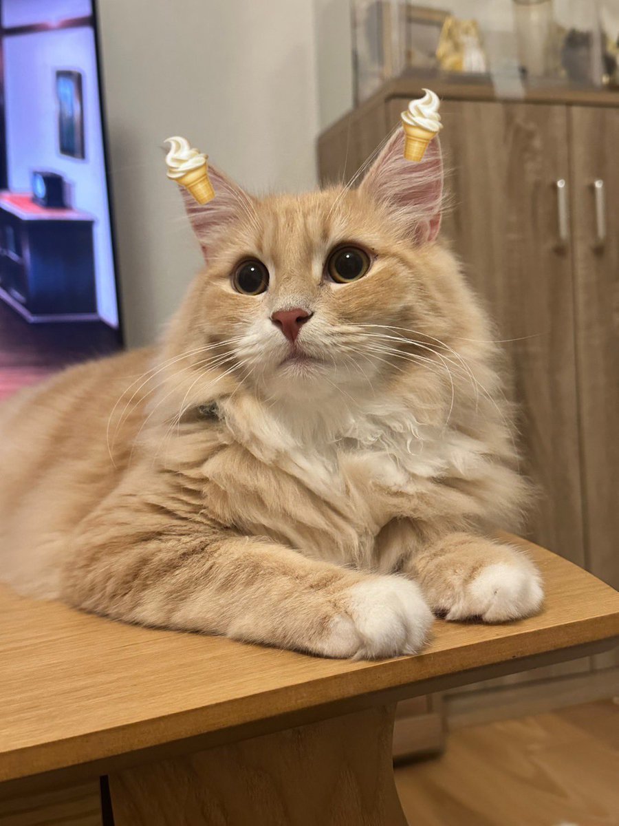 馴染んだかもしれない！