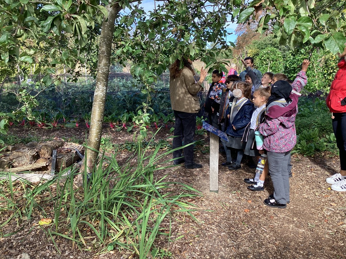 The William Hogarth School tweet media