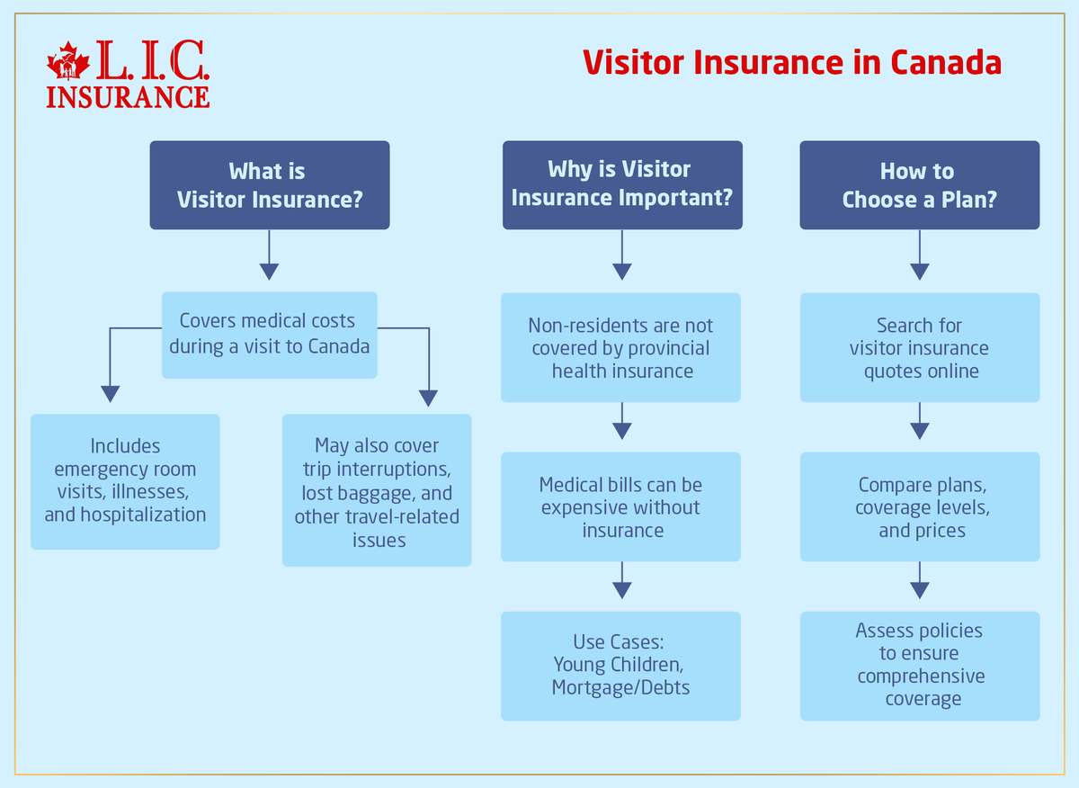 CanadianlicI's tweet image. ✈️ Traveling to Canada? Picking the right Visitor Insurance plan is key to peace of mind. Compare coverage, premiums &amp;amp; family needs before you go.

Read more👇
canadianlic.com/blog/how-to-ch…

#VisitorInsurance #TravelInsuranceCanada #SmartTravel