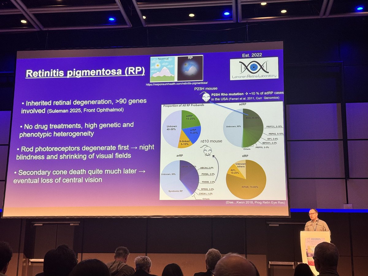 What a week in Prague at #RD2025! 🚀
Keynotes on gene therapy, proteomics &amp; adaptive optics OCT, new insights into degeneration pathways, and exciting advances in cell &amp; drug therapies.
Grateful to be part of such a collaborative and forward-looking retinal research community!