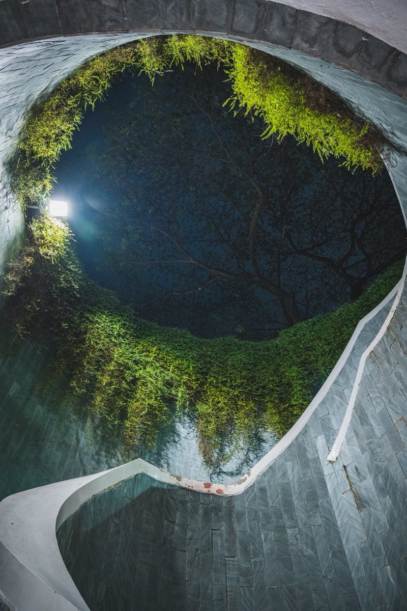 qwae_lcw's tweet image. 星空がきらきらと輝き、風がそよぐ公園の夜景は、まるで時が止まったかのようです。すべての呼吸、すべて生活の悟性に対してで、すべて一筋の灯火、すべて夢想の追求です。