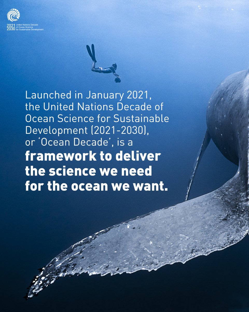 📣 We are honoured to be officially endorsed by the <a href="/UNOceanDecade/">UN Ocean Decade</a>, supporting its vision of 'the science we need for the ocean we want'. Visit the #DiadSea project page at the #OceanDecade website 🔗oceandecade.org/actions/transn…
Funded by #Interreg <a href="/AtlanticArea/">Interreg Atlantic Area</a>