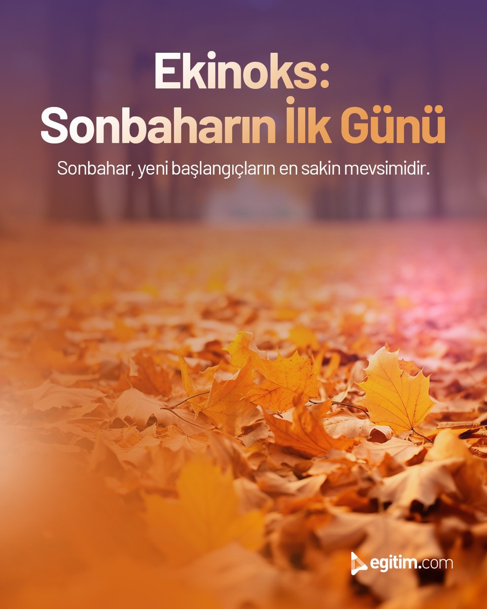 egitim_com's tweet image. Bugün ekinoks, sonbaharın ilk günü. 🍂

Gece ve gündüz eşit! 🌍

Yepyeni bir dönemin huzurunu hissetmeye hazır mısın? ✨

#Sonbahar #Ekinoks #Egitimcom #EğitimeDeğer #23EylülEkinoksu