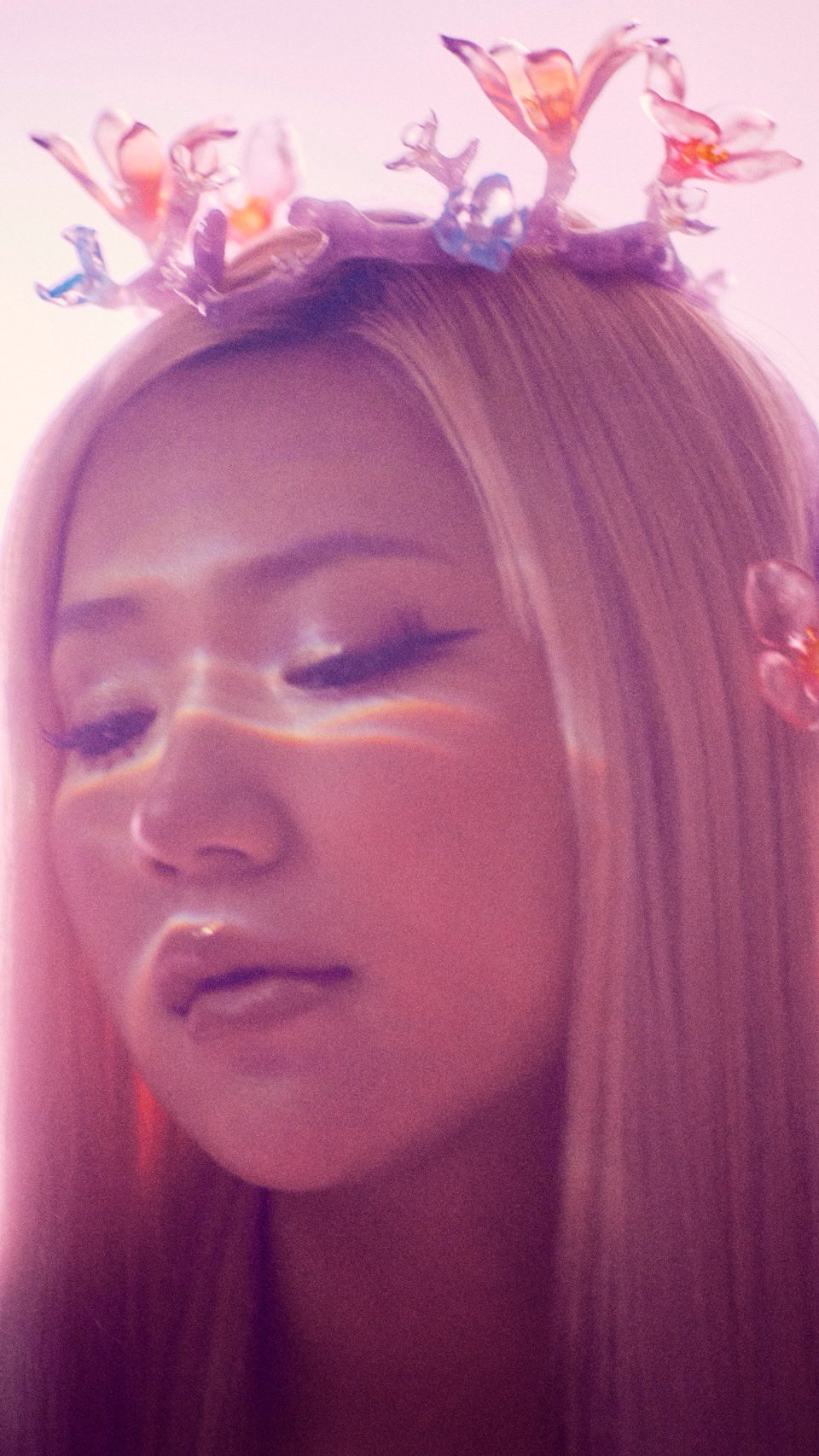 LANA 横浜アリーナ VIP 特典 限定 Like a Flower LANA