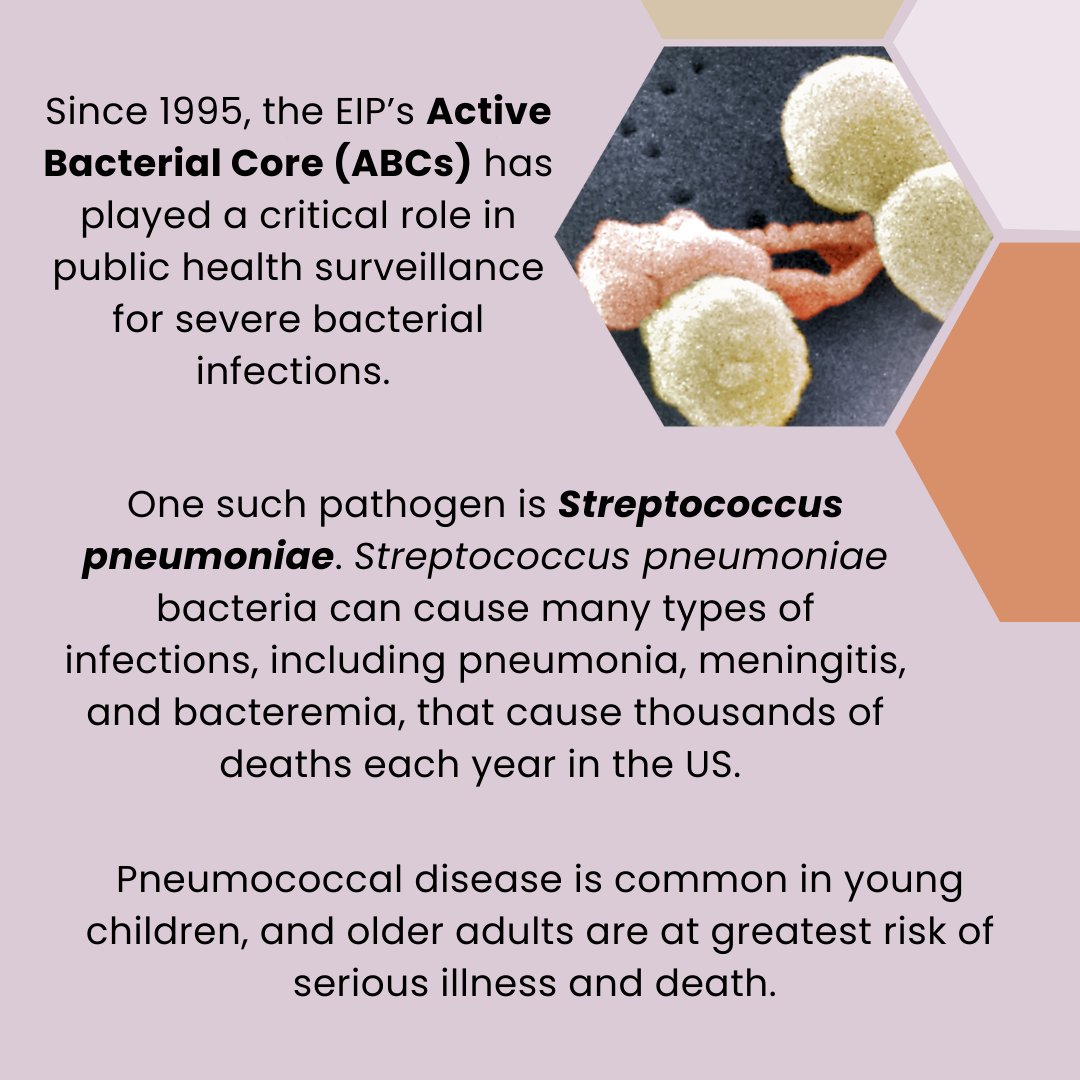 CT Emerging Infections Program at YaleSPH tweet media