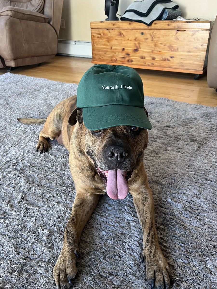 seth_'s tweet photo. Thanks for the hat @Kalshi https://t.co/6fkKUXbDQm