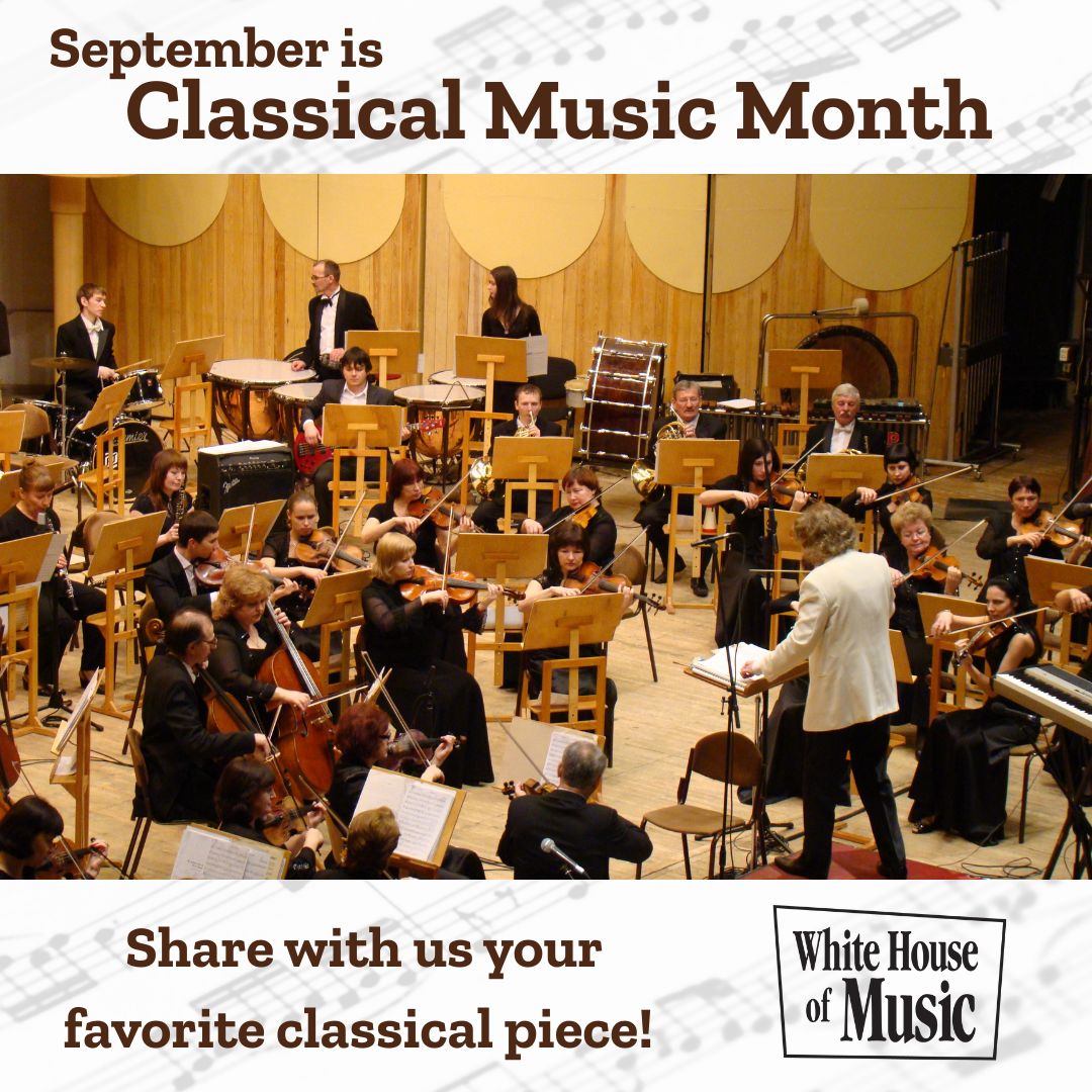September is  Classical Music Month! Enjoy listening to various classical composers, exploring their histories, or attending a concert.

Do you have a favorite classical piece? 🎻🎹🎶

#MusicForLife #classicalmusicmonth #classicalmusic