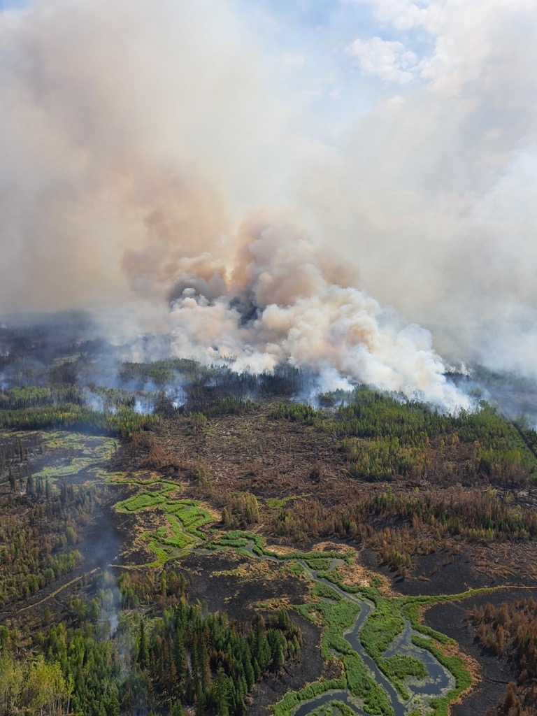 USFWSFire's tweet photo. We are #hiring 2 GW-05 wildland firefighters at Piedmont NWR (GA) & in our South Fire Mgmt Zone (FL)
These #firejob opps will work on #rxfire, wildfire response, fuels mgmt, & emergency operations.
Apply by 9/26 ➡️ https://t.co/eZEj8VxO1A
#NotYourOrdinaryJob @USFWSCareers https://t.co/VewbGytgbT