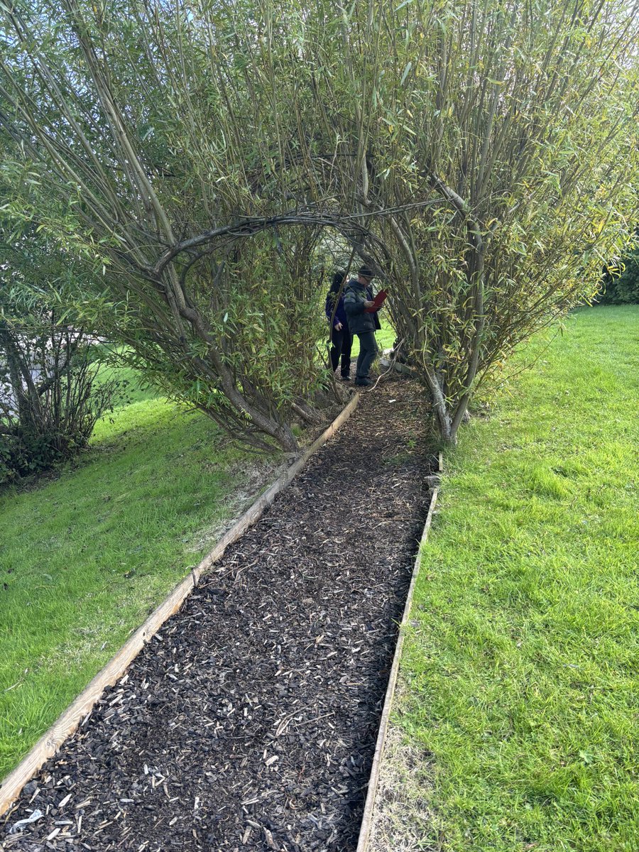 Mrs Deafley P6B tweet media