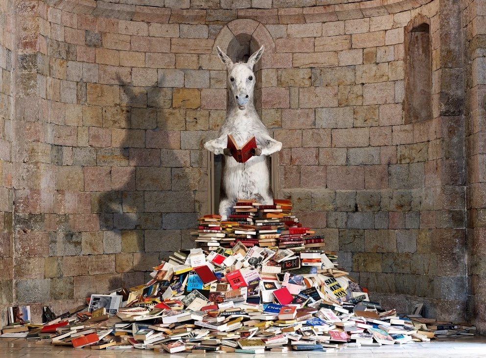 Pilar Albarracìn, Asnerìa, installation, 2010