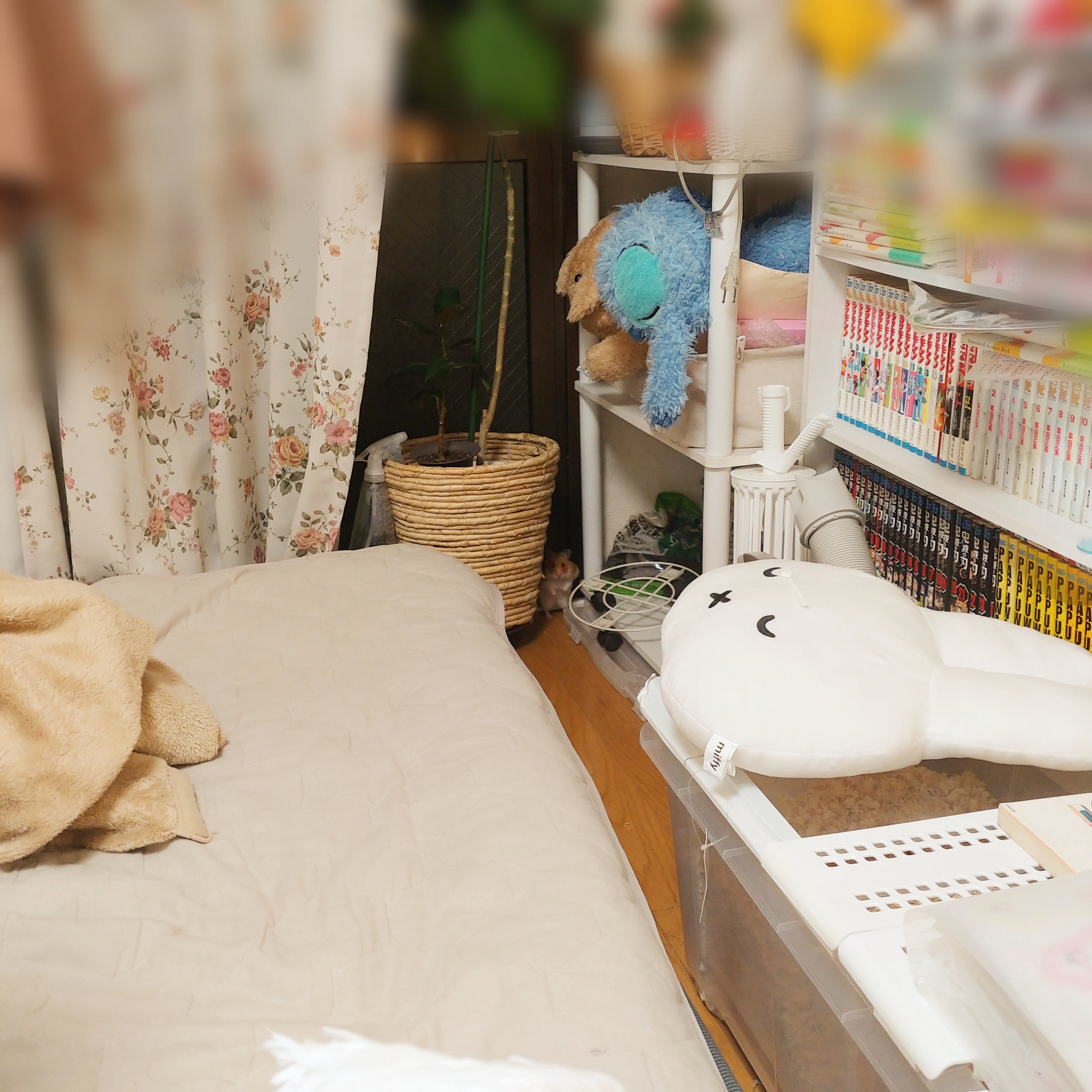 ぱんなこった様 R.N. どでかいパンナコッタさん on X: 