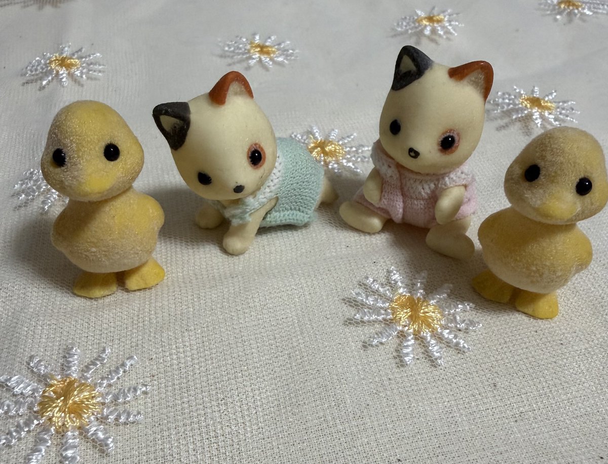 タカシくんがレコメンで言ってた実家から連れてきたヴィンテージシルバニア🐈🐥
お風呂に入ったからキレイになったよ🛀