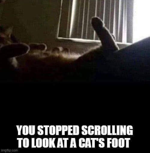 Bil McMaster (@bilmcmaster) on Twitter photo 