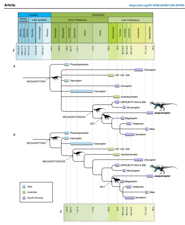 TheDarknix's tweet photo. DINONEWS!!!!

Meet Joaquinraptor casali a new Megaraptorid from Argentina that show us more about the anatomy of this peculiar group. So excited to see we have more cranial material from Megaraptor and its relatives.

Article: https://t.co/a9VGkbTKNP
#dinosaurs #Argentina https://t.co/7mqJqmTKyu