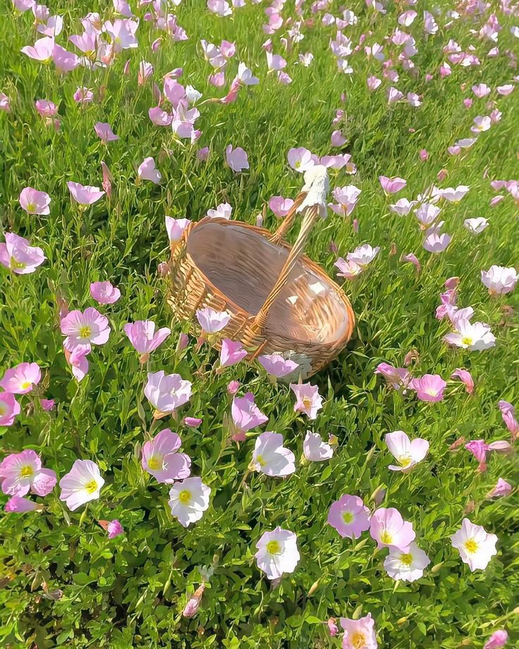 greendreamvibes's tweet image. 